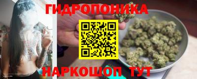 ECSTASY Краснознаменск