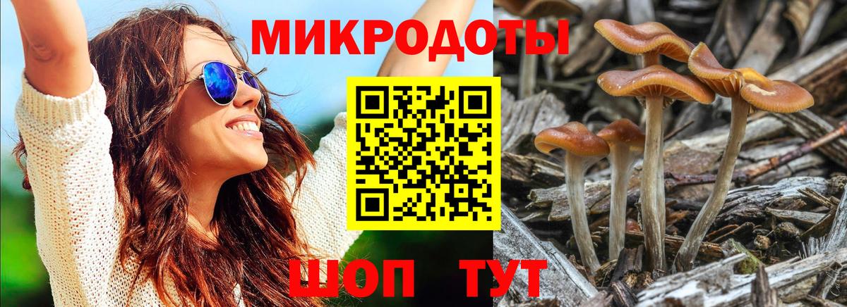 Кингисепп  где купить   Вход с VPN  Галлюциногенные грибы Cubensis 